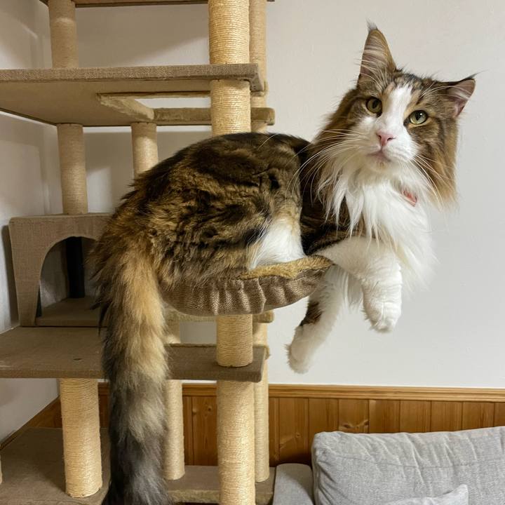 7b9d90be 6439 43c8 a2d8 4c5dbd183ea1 1698002230052