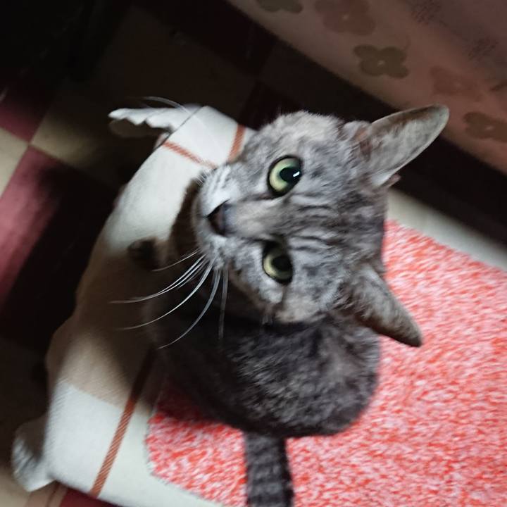 7b9d977f a5f0 41ce 92cd 1e5e8f7243dc 1562877193549