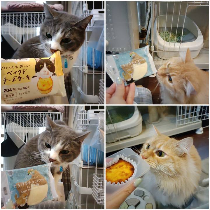 7b9dc2ca 2ef5 4444 9154 15b747f2d5db 1677143656023