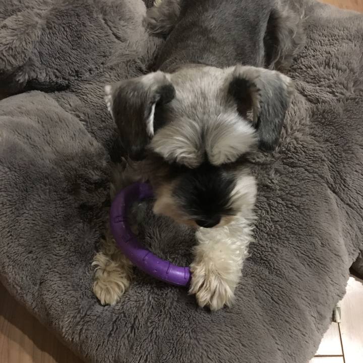 7b9dc734 f95e 4769 a0a5 2b8052a9195f 1508024587093