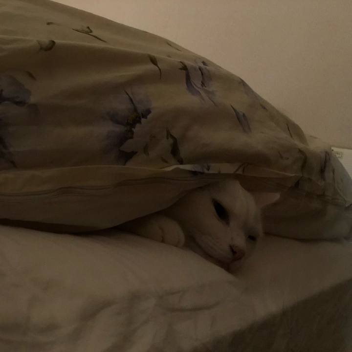 7b9dd7a1 6d0b 4563 8254 75dc64e170a8 1524723719405