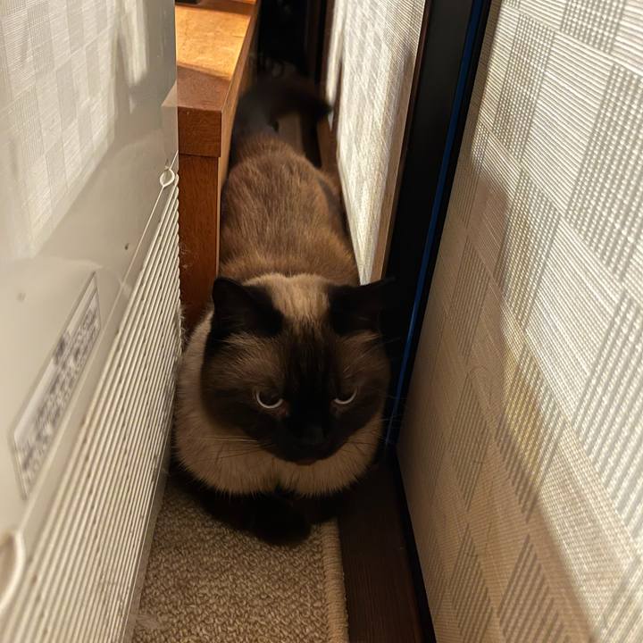 7b9e02de 1414 4c72 b729 37186cc46558 1692006292069