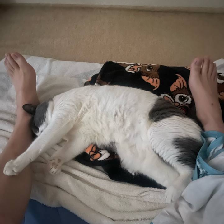 7b9e23b7 db26 4765 8eb8 6590732e1466 1750714277004