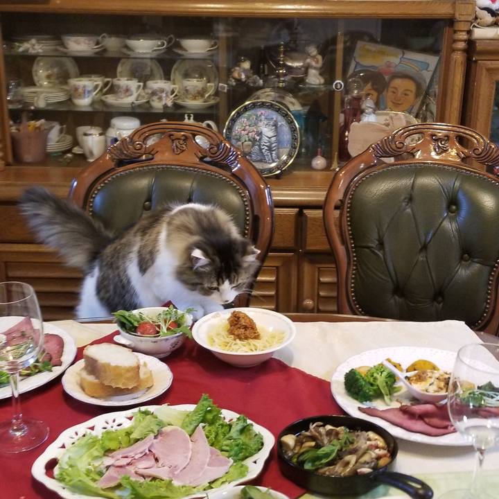 7b9e48cd 312e 49af b77a 04698dbb741c 1577191658106