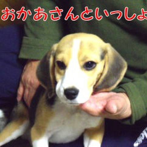 7b9e4b32 81d4 427b 829c 22b3e4d5faaa 1677378221044