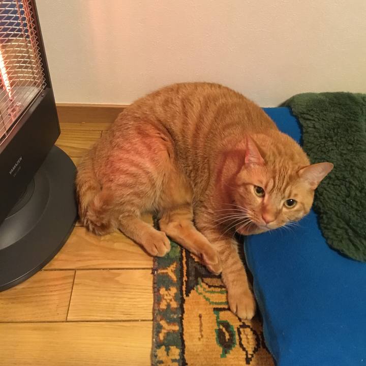 7b9e5043 ade5 4f11 ac16 70d9361a0105 1516837031635