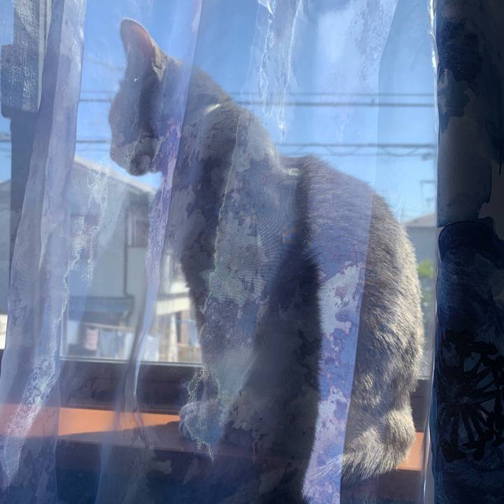 7b9e803c 3a1c 4a34 a6cf 6505e0bf7c26 1678841513370