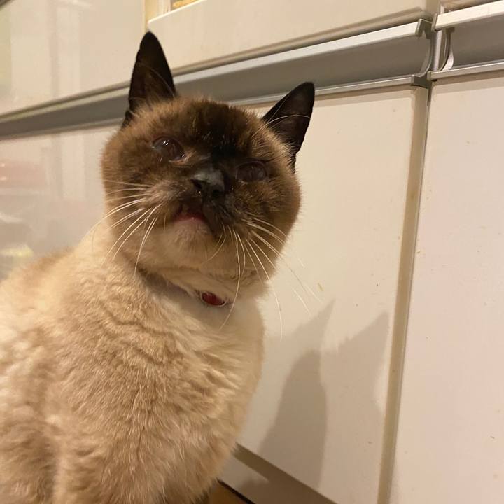 7b9ecaec 4d41 447a a01b 269d31d3f758 1602760731533