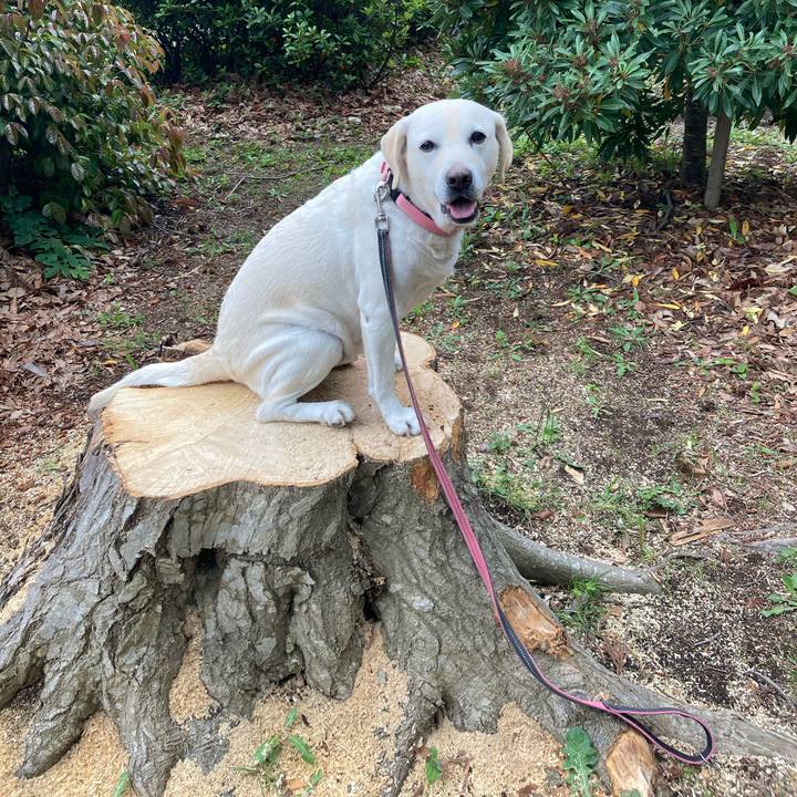 7b9ee82d 8e0d 4543 a6d0 4535dc0a42a6 1747317465371