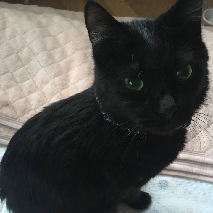 7b9effc8 27ce 4787 a84b d4f7a65f81e2 1549749741256