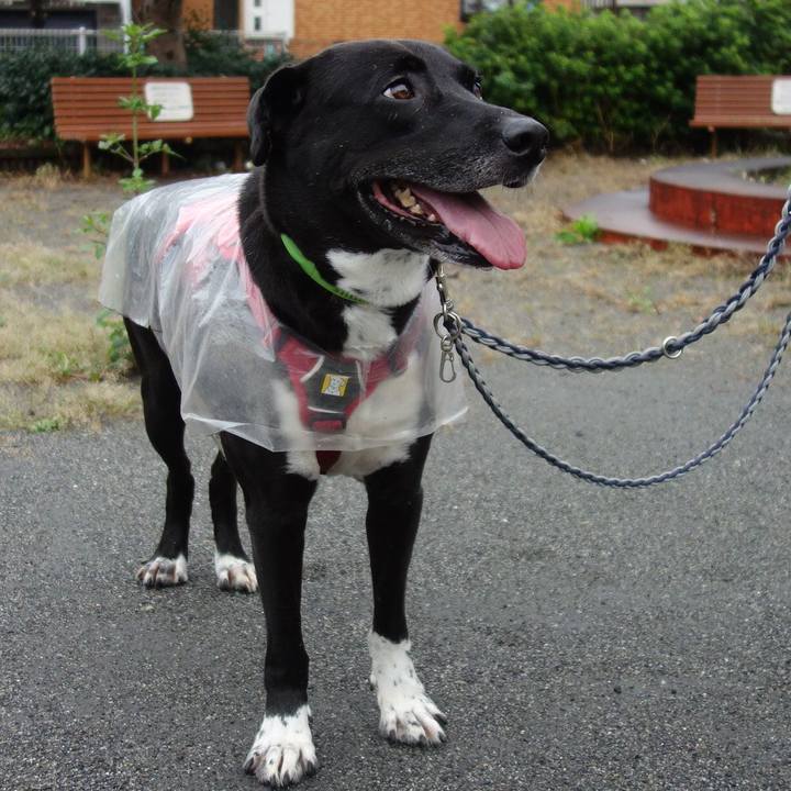 7b9f092f 82aa 4dc3 9a67 7595df077fff 1631923264113