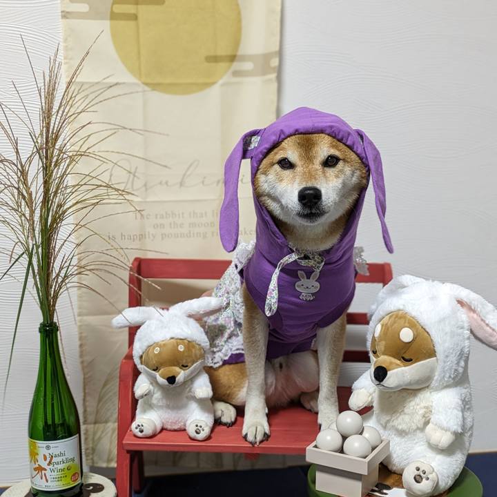 7b9f21ea a570 4856 8d62 363d7339df46 1695981754695