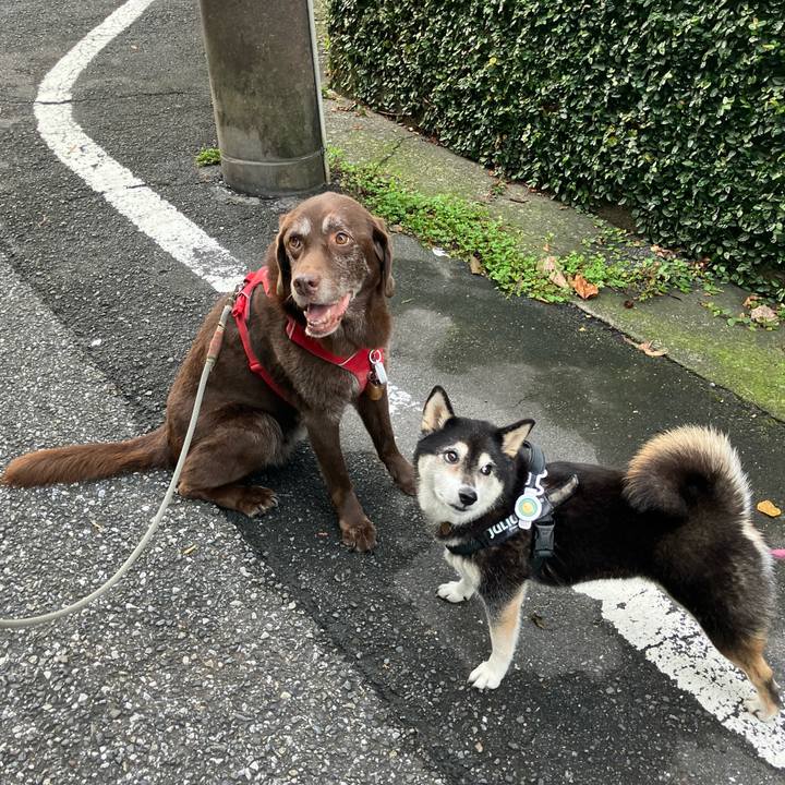 7b9f35c8 36a9 4e85 a7c1 f2ad77ab8348 1759372609692