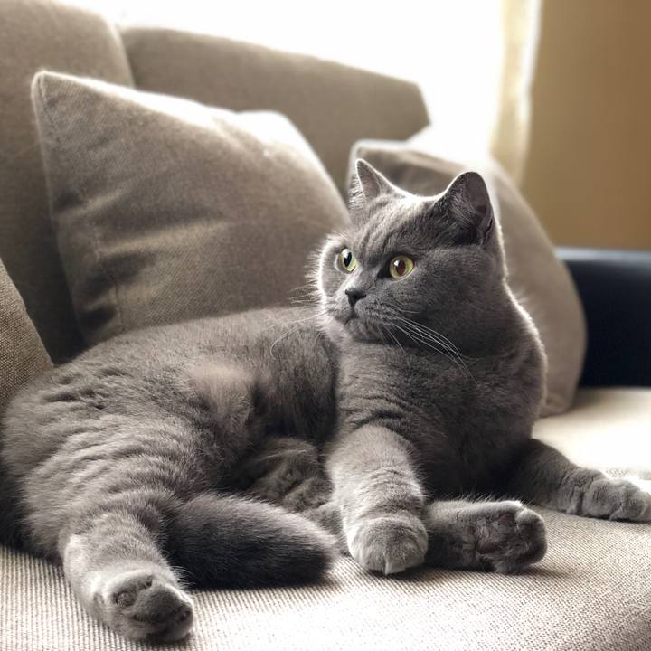 7b9f3bd7 f1e4 49e3 b96d 7aea03a8827a 1514685665932