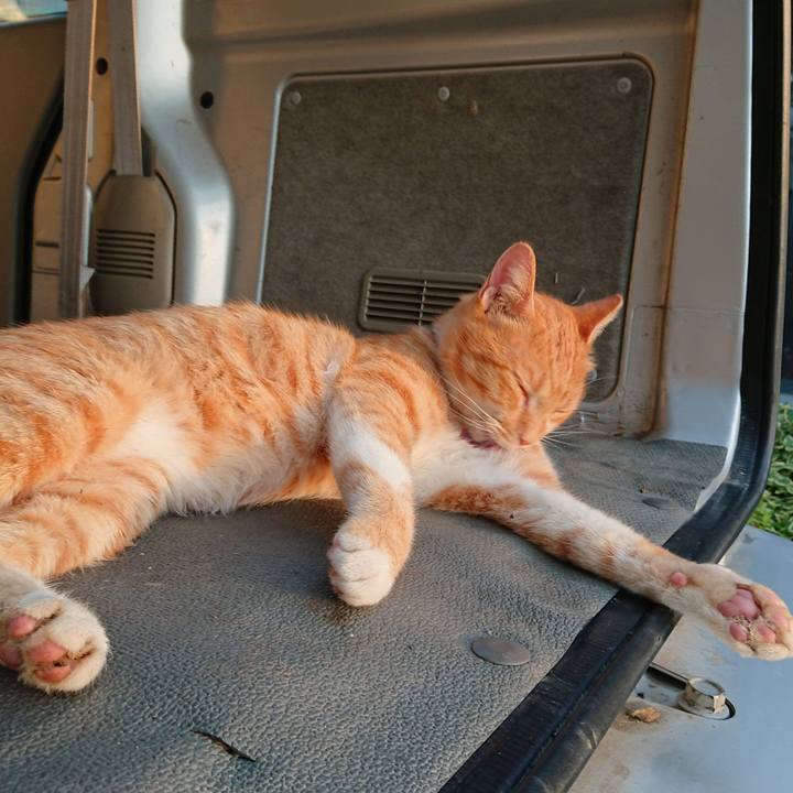 7b9f40f5 ace3 4119 b383 5fcde55ec7fb 1567201627259