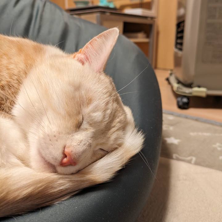 7b9f81f5 8038 4677 b81c aaf9a02faaf3 1703673212568