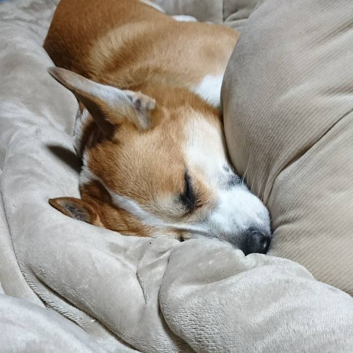 7b9fc12b 8e8e 4961 9fe9 a0d02eb472ea 1673407947997