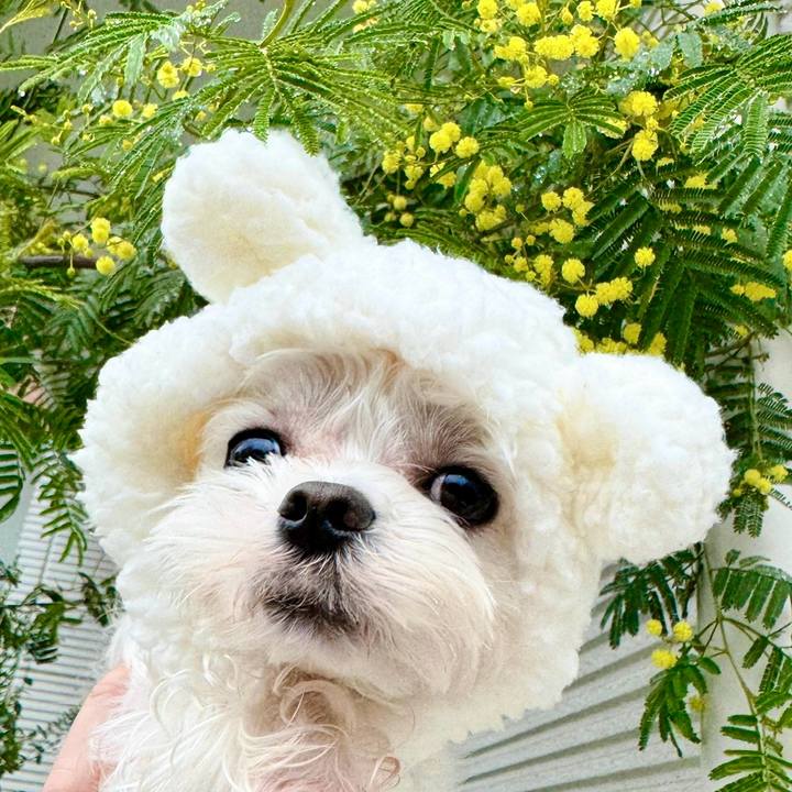 7b9fe2e6 a5c5 42d9 94e8 a6a3b27d9328 1708509856144