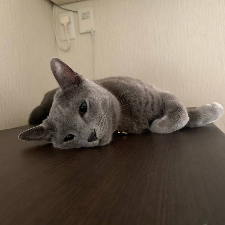 7ba017e2 b607 4a5b b205 75b3c8c63192 1608414249117