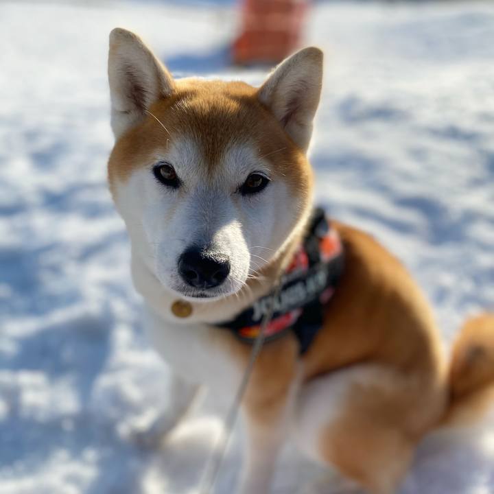 7ba04684 25c0 46f1 b2fb 15fda23cd5cf 1615769797222