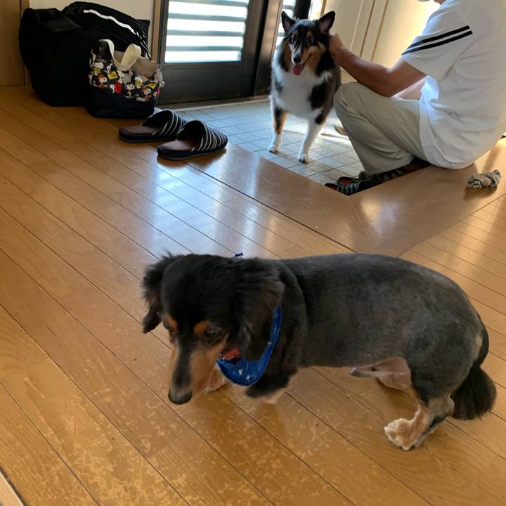 7ba0479f eac3 4146 9a63 8c80a45a1001 1600207522174