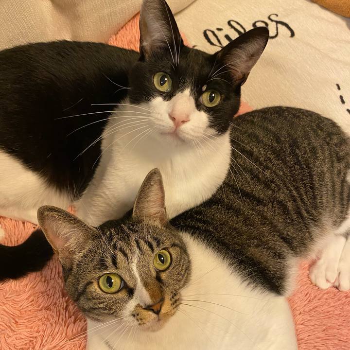 7ba05b05 9714 4d7b 9f29 d0ddcca164ad 1729992258335