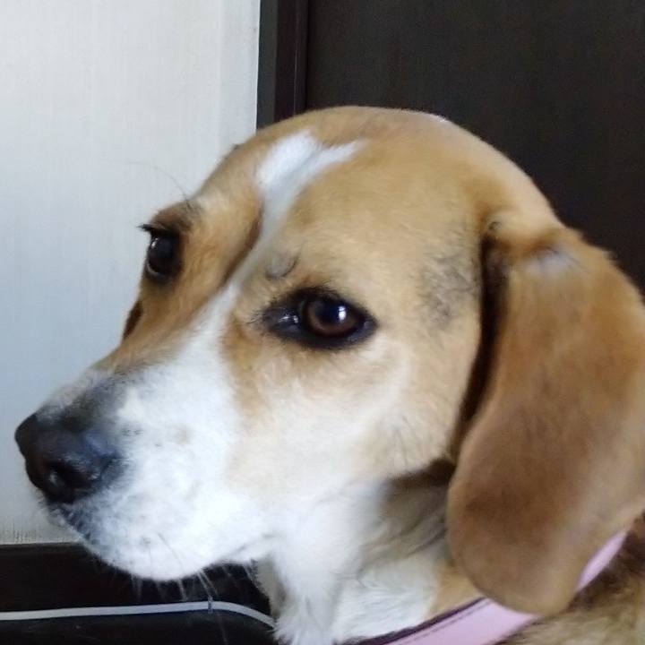 7ba05cc8 7fbd 4011 82dc 7176776b3e22 1590640479530