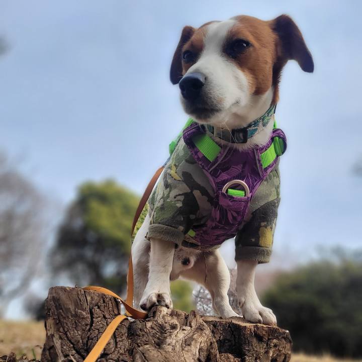 7ba0ab17 695b 4a4e a91f 460e2db732d1 1678584795890