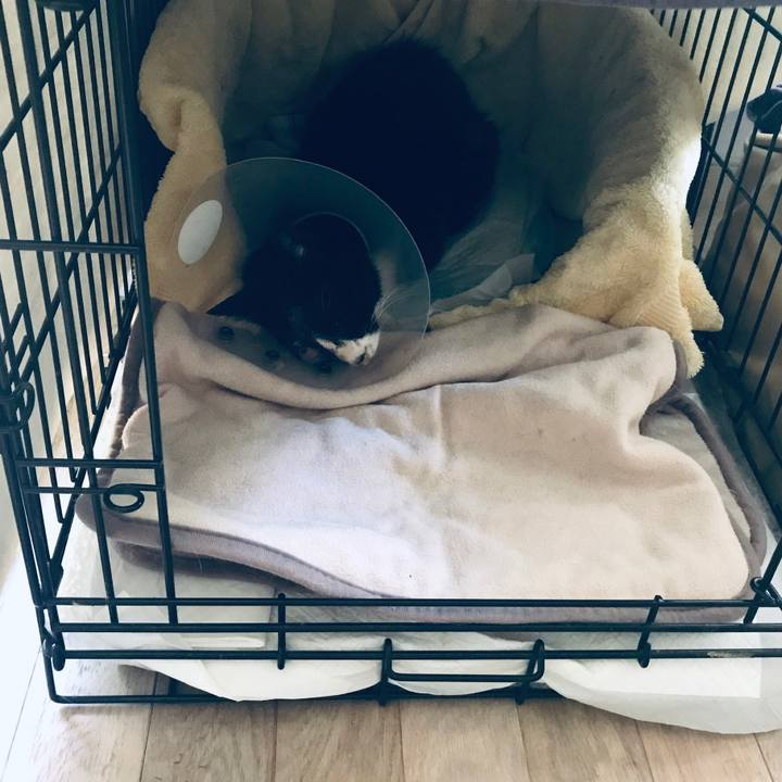 7ba0b372 8e04 4c6e 9b9a 2bf713066f6c 1589764652981