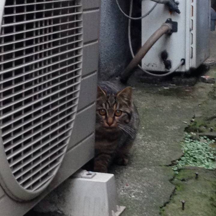 7ba0c8d5 e1f1 44a8 990e 5b8e268f7d11 1511881358039