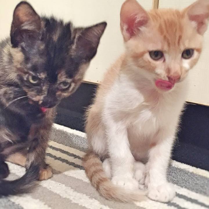 7ba0f92c fee9 48ea bd9e db7cc7d96b5b 1568410216861