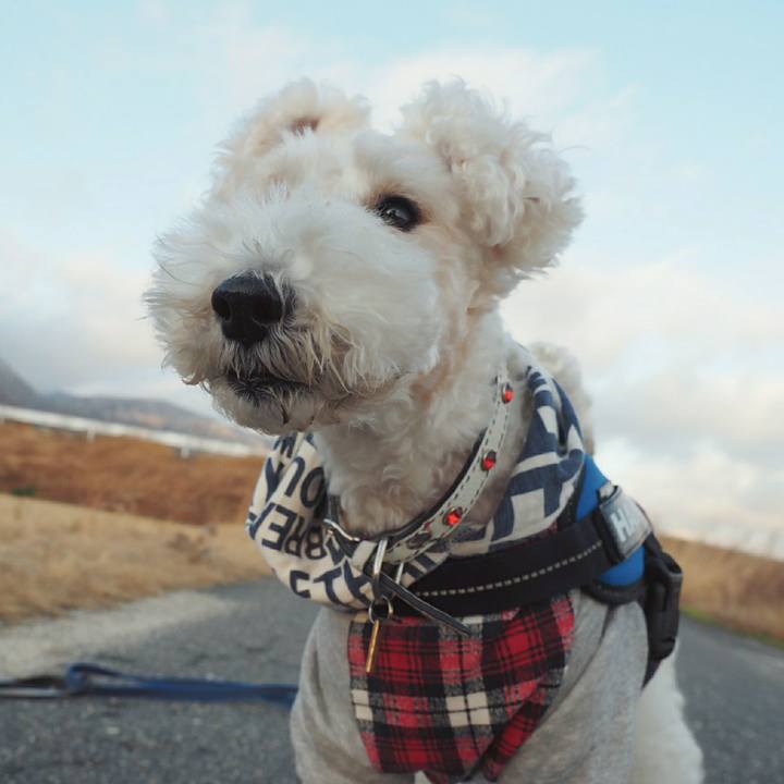 7ba125f8 21fb 40f3 8c43 e4b52ff65d20 1515154578192