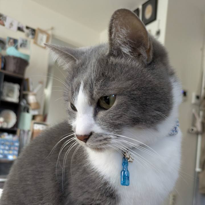 7ba1519d 748c 438b a22a 95b57150af3e 1767493366873