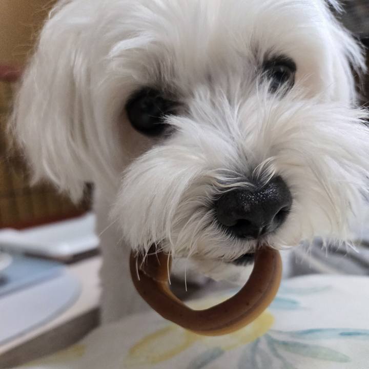 7ba1809e a04f 4c9d 8d5b f731d21dc652 1760595118337