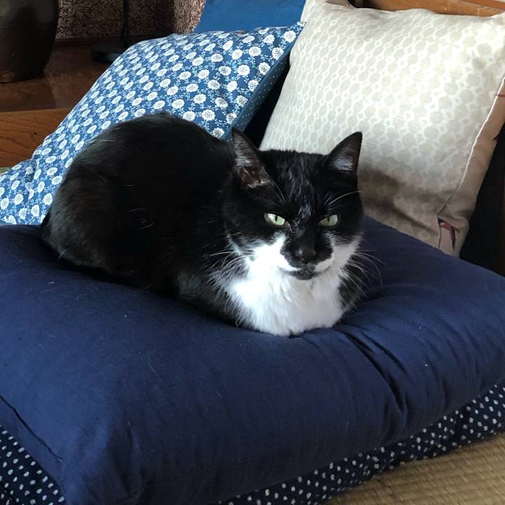 7ba18ae1 8766 47a5 b2ca ccf97fb8a93f 1563321010434