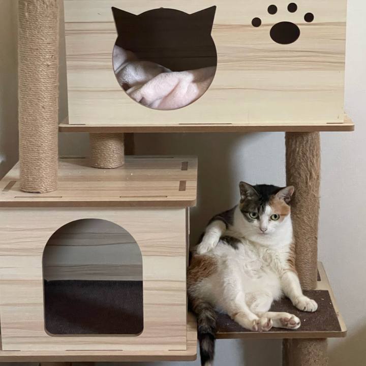 7ba1a2f8 2498 44ee 83bb b5f91391198b 1689977456941