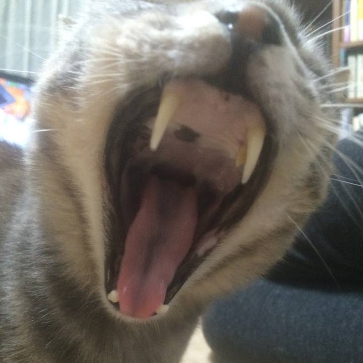 7ba1c076 8bd5 4bfc 828a 97f3ddf7910a 1562933203015