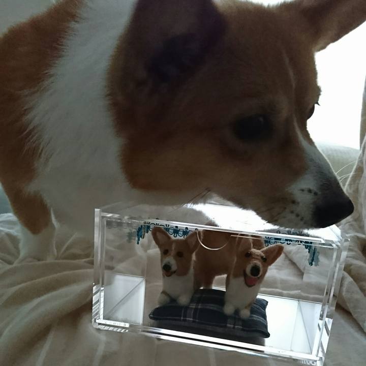 7ba1c077 29da 476f 822d 3ab3a45e0bf1 1534648604917