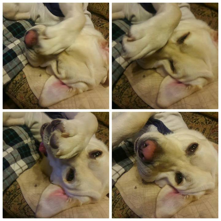 7ba1da6e a327 4e34 ba7d 96df5b1ada4d 1511783607787