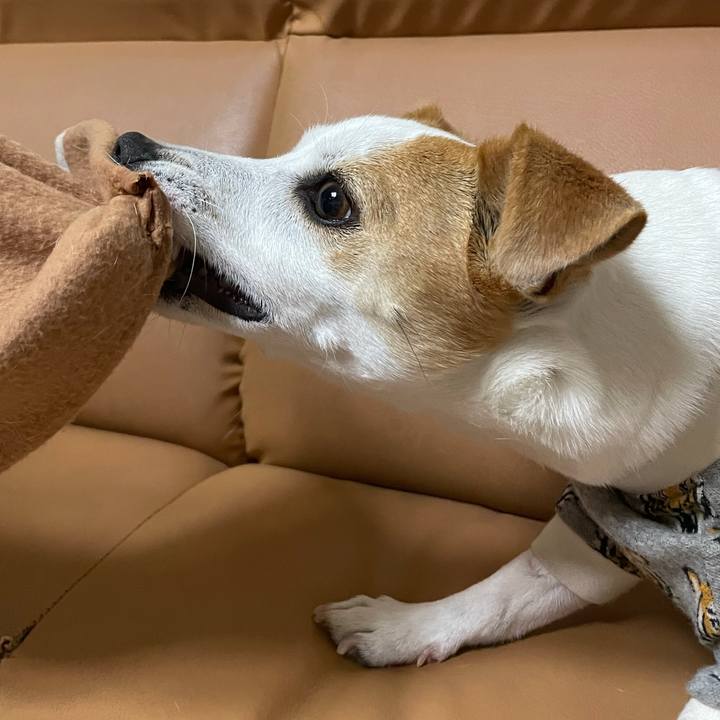 7ba1e83e 3ae0 426c ac4c 7c35ee605742 1610511345018