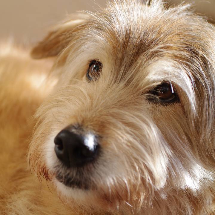 7ba23f20 7b18 486f a2ac b3b51c5bf0f9 1610803701762