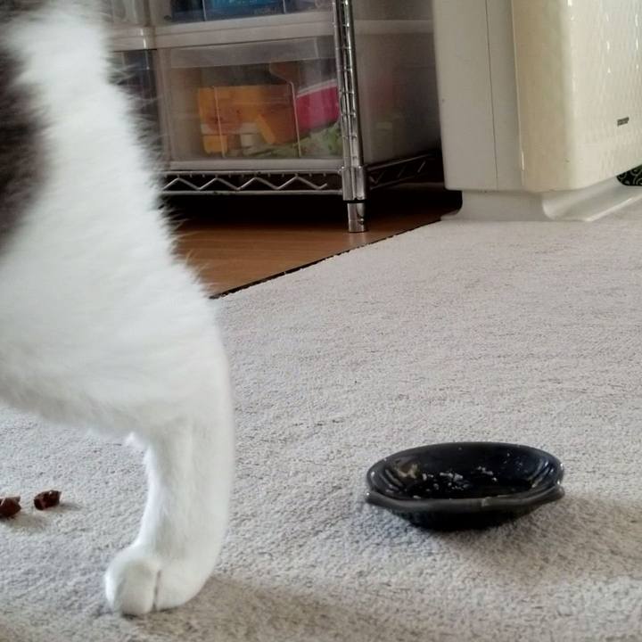 7ba295c3 cdf4 4fdc 93ee 4baef1ba151d 1563513960292