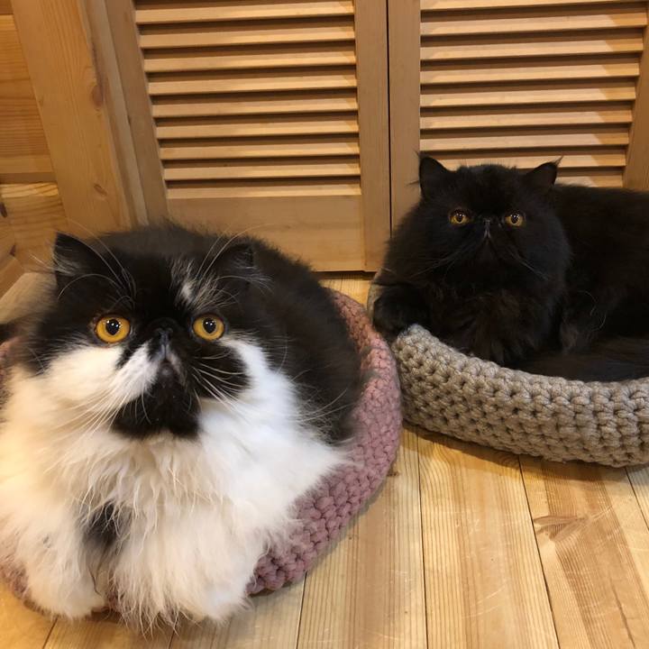 7ba2ae3b 7c86 4121 bb24 708935600c56 1531828822788