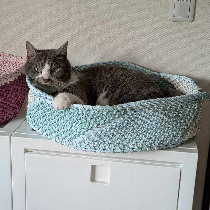 7ba2c498 d8c6 404f 9cff d1de2a7c7254 1750811106537