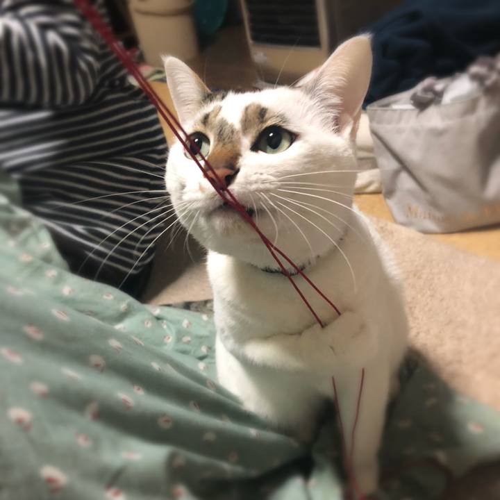 7ba2f5c9 3b64 4128 afd3 f2968dc835c1 1520424402688