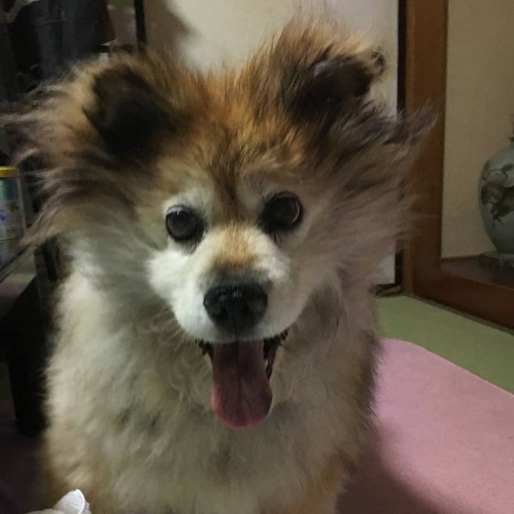 7ba3011d d57b 407f bc8e 7f186f37600d 1576151247066