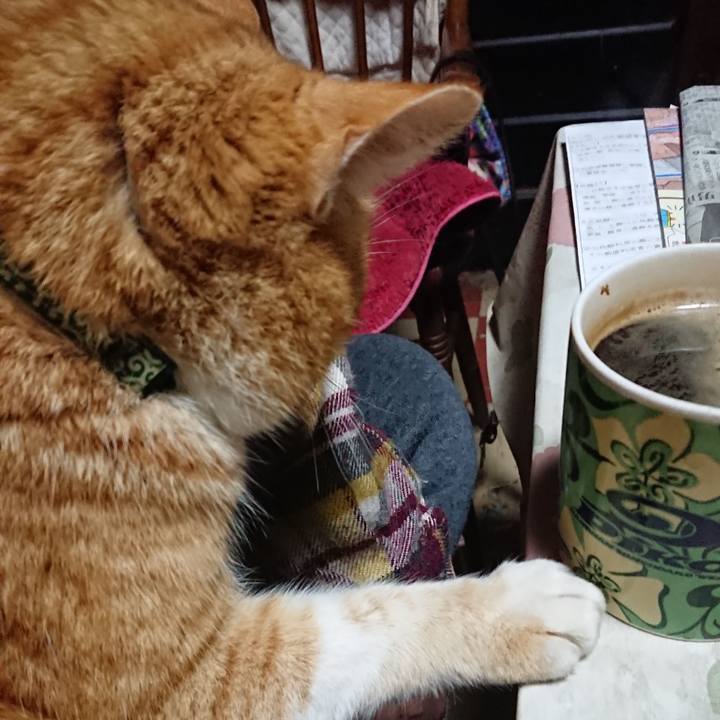 7ba32e3d 1bc4 4a58 ac46 c8e9bf68e6dc 1580414123821