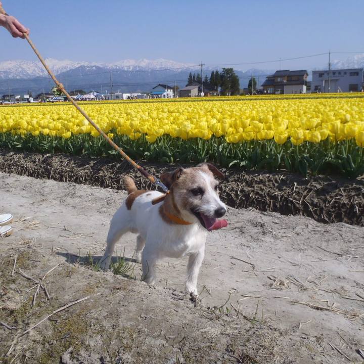 7ba33aa9 5dca 4db4 a149 a19b9a7811dd 1524303019430