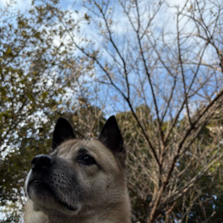 7ba3419a 5620 4dcd b2f6 079a0f8a9b88 1740401271482