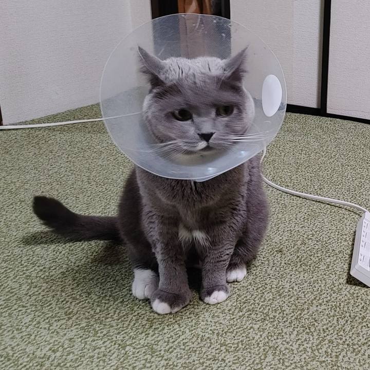 7ba34927 e4d4 4bad bc70 15d5d21a2579 1733038188390